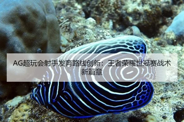 chao-wan-hui-she-shou-fa-yu-lu-xian-chuang-xin-wang-zhe-rong-yao-shi-guan-sai-zhan-shu-xin-pian-zhang-3-830.jpg