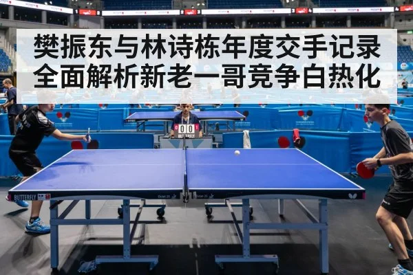 樊振东与林诗栋年度交手记录全面解析新老一哥竞争白热化
