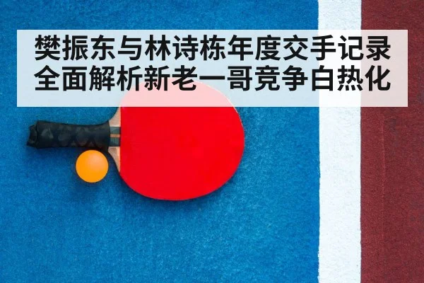 table tennis racket close up