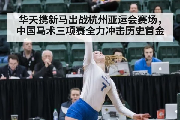 华天携新马出战杭州亚运会赛场，中国马术三项赛全力冲击历史首金
